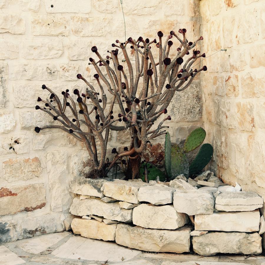 Regina Di Ulivi Bed & Breakfast Ostuni Eksteriør bilde